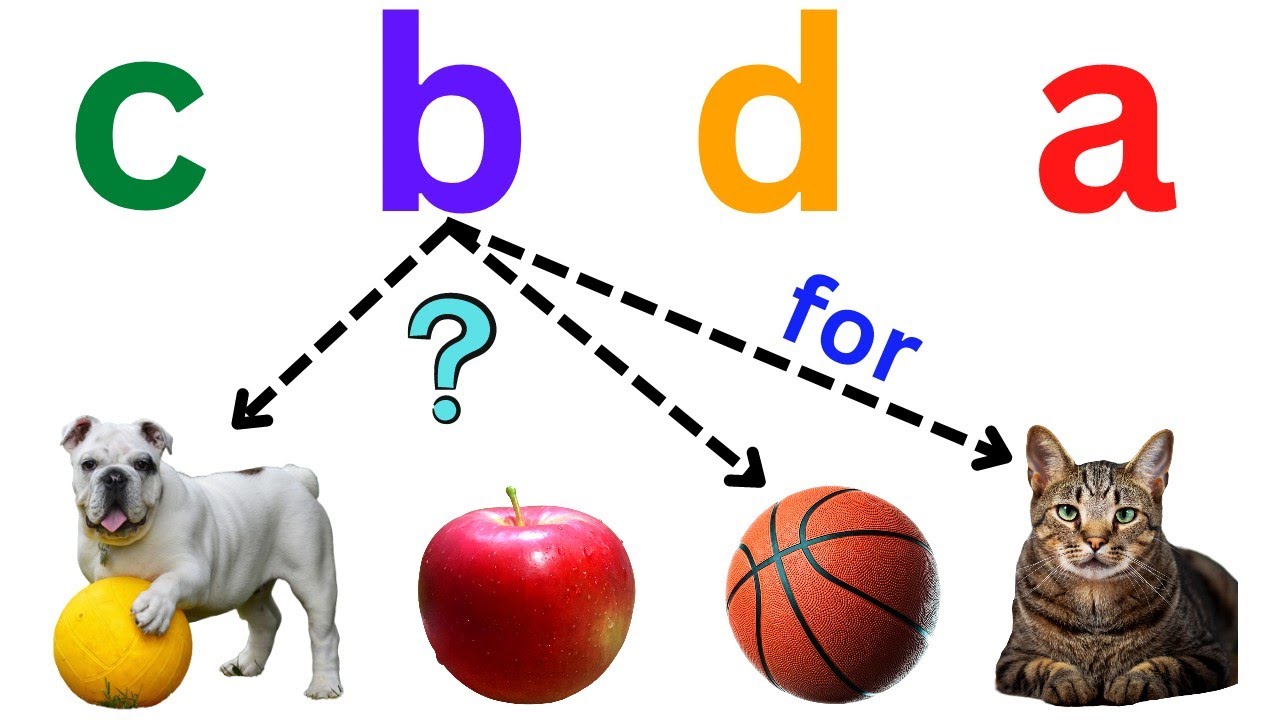 a for apple, b for ball c for cat, d for dog match alphabet with
