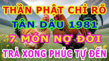 Tuổi Tân Dậu 1981, Thần phật chỉ rõ, có 7 món nợ đời, Trả xong rồi, Hậu vận an nhàn sung túc