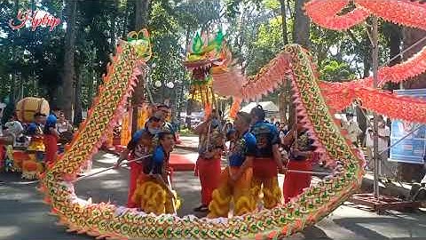 Múa lân sư rồng ở hội hoa xuân 2022 công viên Tao Đàn, Sài Gòn