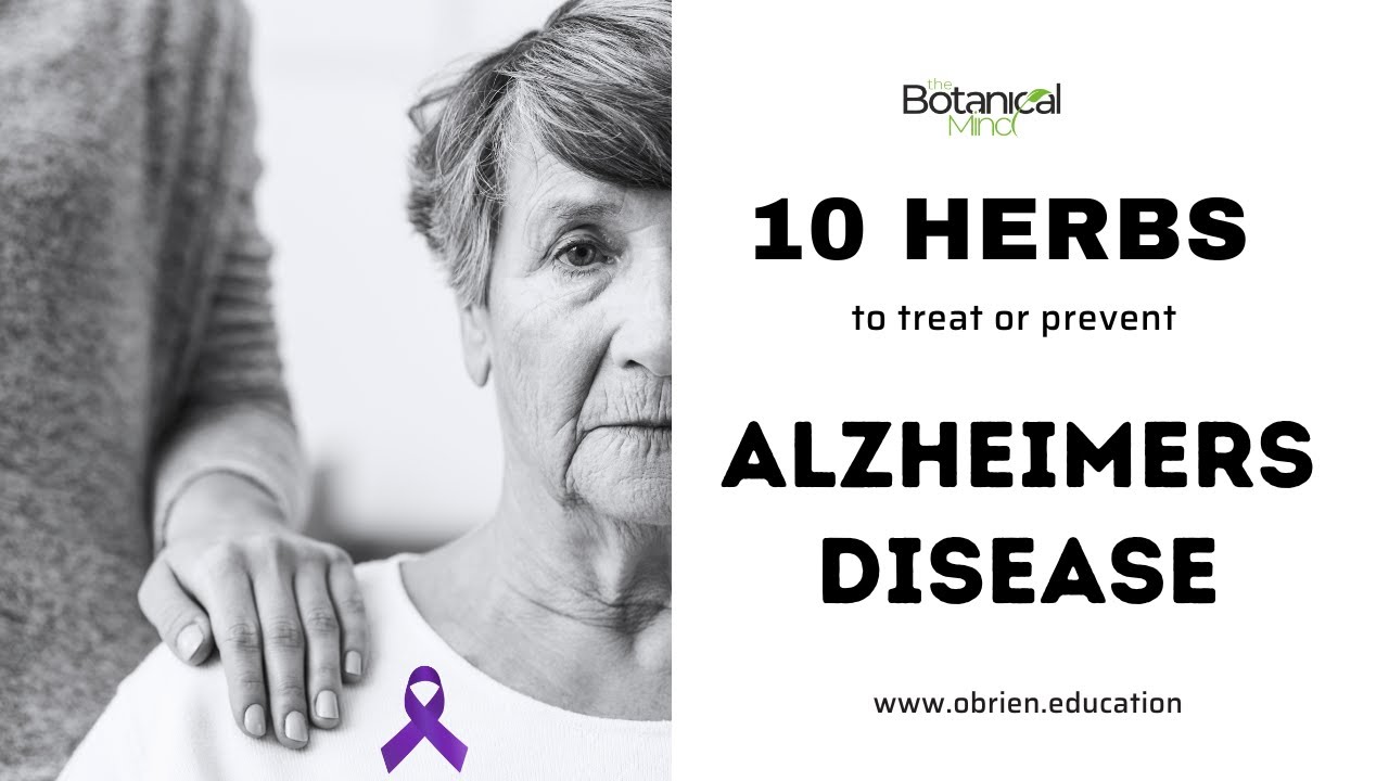 10 herbs to treat and prevent Alzheimers Disease #alzheimer - YouTube