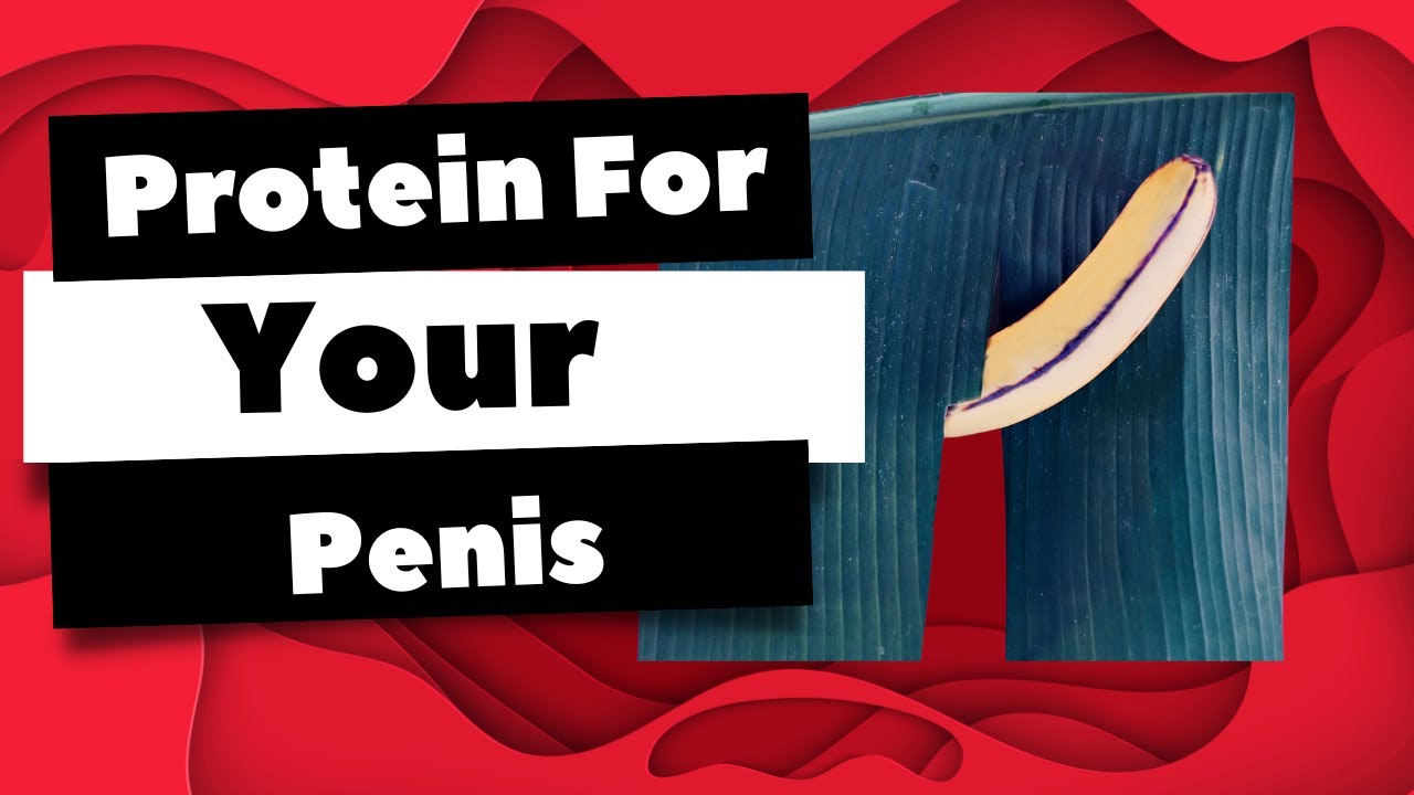 Do Protein Shakes Make Your Penis Smaller