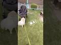 赤ちゃん用を自分のと勘違い