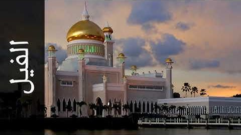 سورة الفيل بصوت الشيخ محمد المحيسني