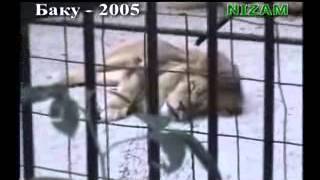 Allah Deyen Sir. By Jafarli12