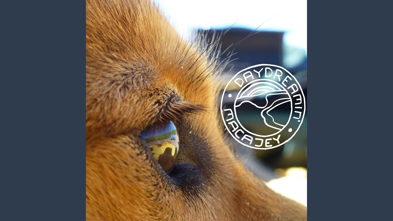 Fireflies adlı videoyu YouTube'da izle Fireflies adlı videoyu YouTube'da izle