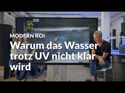 Is a 60-watt UV enough for a 15,000L koi pond? | Modern Koi Blog #8306