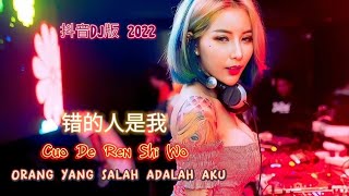 抖音DJ版 2022 - Remix - 错的人是我 - Cuo De Ren Shi Wo - 花姐 - Hua Jie