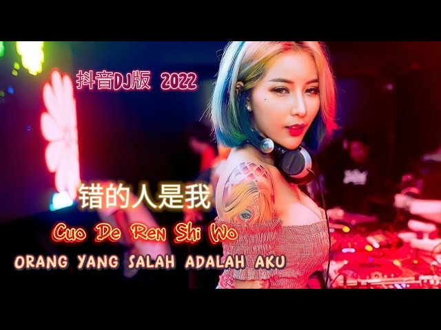 抖音DJ版 2022 - Remix - 错的人是我 - Cuo De Ren Shi Wo - 花姐 - Hua Jie class=