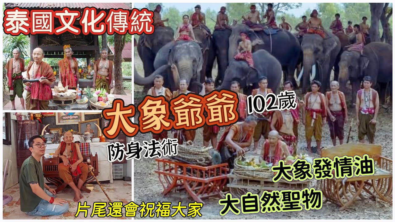 （泰國佛牌）（大象爺爺）（阿贊普碰瑪）（素林法術）（大象發情油）（天然聖物）今集帶大家去了解一下泰國文化傳統，大象馴獸師最後一位傳人，現時他老人家已經102歲了！珍貴拍攝多種神奇另類聖物