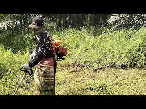 #potong rumput, #disini tak ada habisnya, #sangat lebar