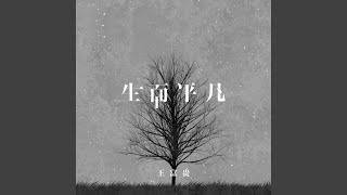 生而平凡 (DJ京仔版)