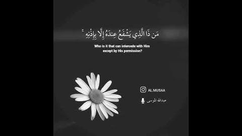 القارئ /عبدالله الموسى ايه الكرسي