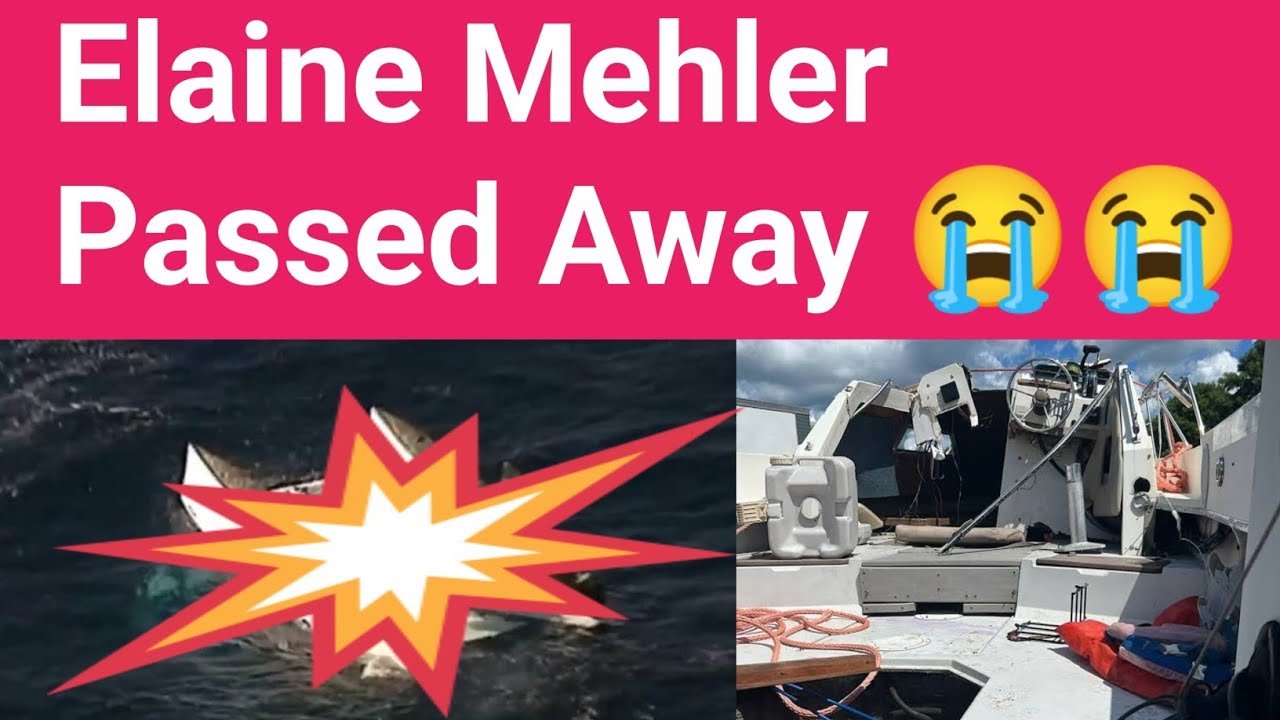 RIP Elaine Mehler Elaine Mehler Death and Obituary Englewood, New Jersey, Boating Accident