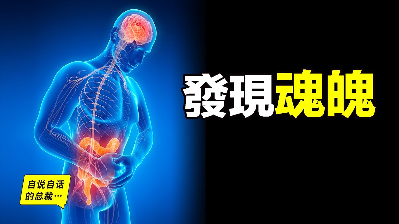 ææ°é«å­¸ç¼ç¾ï¼ç«æ¯éå®¶é­é­å­¸èªªï¼äººé«ãç¬¬äºå¤§è¦ãçäºåé©å¥â¦â¦|èªèªª ...