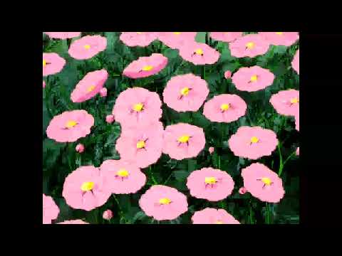 Close Your Eyes Lo Fi Chill Mix 