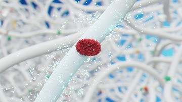 Filtrete™ Air Filters for Your Home HVAC System