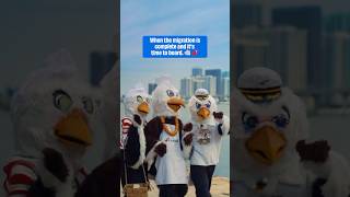 The eagles have landed! We’re ready for a celebration at sea to celebrate America’s 250th #shorts