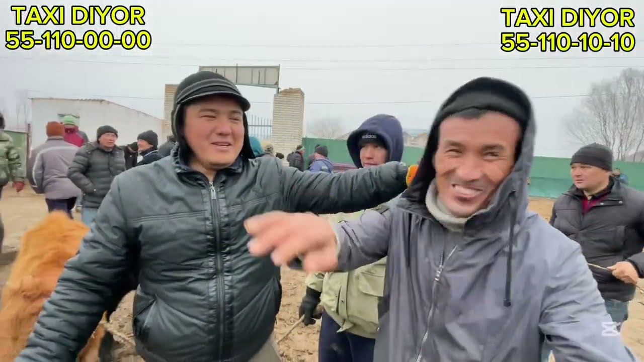 28-ДЕКАБР/2025/ШЫМБАЙ МАЛ БАЗАРЫ/МАЛ БАЗАР 2025/ДЕМ БЕРМЕС МАЛ БАЗАР/СКОТНЫЙ РЫНОК