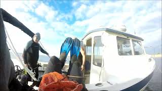 видео: Металлоискатель — Погружение с Deus II — На ощупь в мутной воде картинка: Металлоискатель — Погружение с Deus II — На ощупь в мутной воде