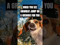 #fallout #fallout4 #fallout76 #falloutmemes #fallout3