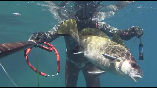 02-05-23 Zıpkın avları-Eşkina-aslan-kınalı-lionfish hunt.