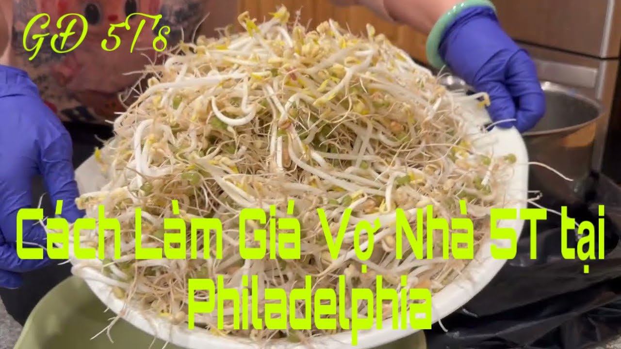 Cách Làm Giá Vợ Nhà 5T tại Philadelphia Mời Cả Nhà Tham Khảo | GĐ 5T tại USA #836
