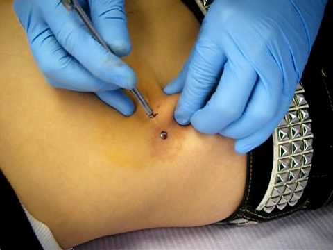 Hip Dermal Anchor Jewelry 2 You Hip Dermal Anchor Jewelry 2 You