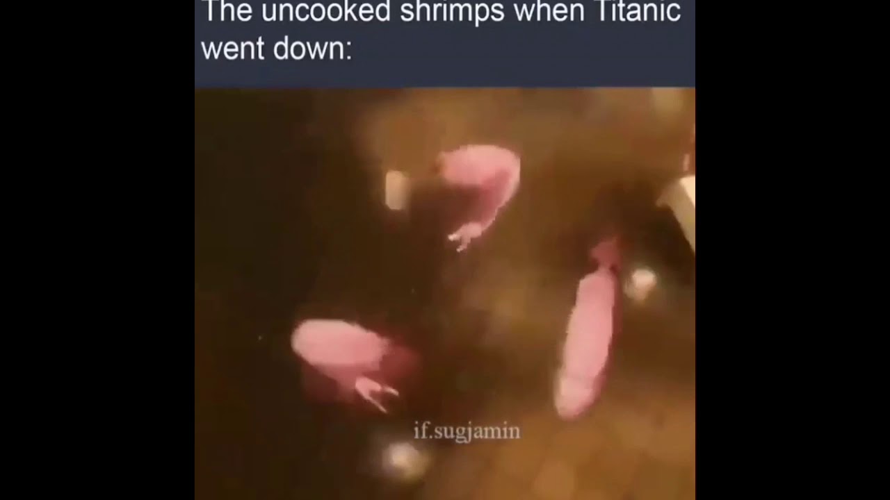 The Uncooked Shrimp When The Titanic Went Down