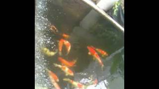 IMG 0434 IMG 0434