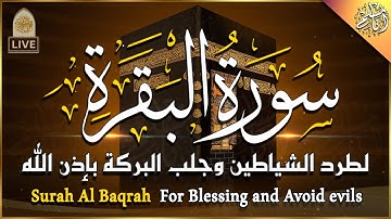 سورة البقرة كاملة لحفظ وتحصين المنزل وطرد الشياطين تلاوة عذبة هادئة Surah Al Baqarah