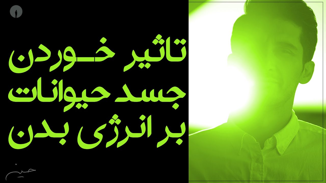 تاثیر خوردن گوشت بر ارژی درونی بدن