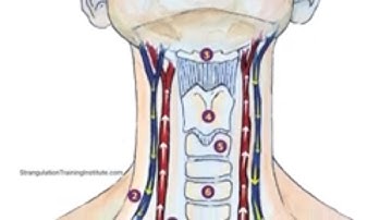 Strangulation - A Predictor of Future Violence