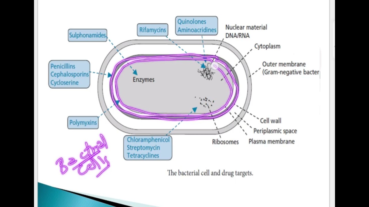 Lecture 1 part 1 Organic مرحله رابعه