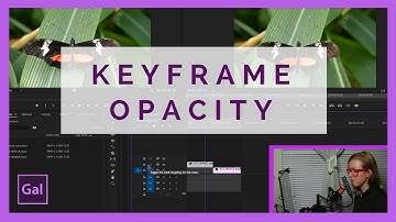 Keyframe Opacity to Create a Transition in Premiere Pro CC for beginners