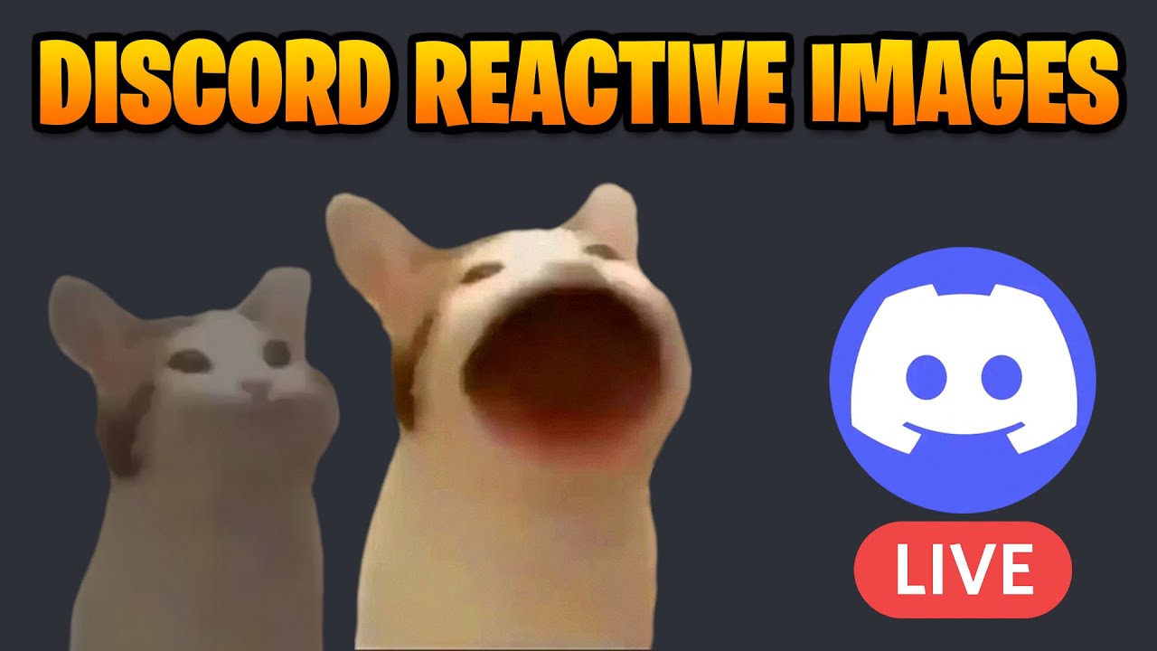 Discord Reactive Images Fuji Tech