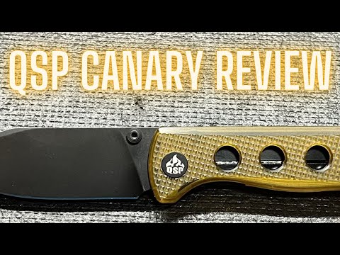 My Final Review/Overview Of Budget Blade Gold! QSP Canary