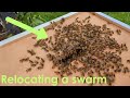 Relocating a swarm