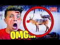 7 YouTubers Who CAUGHT Rudolph The Rednosed Reindeer On CAMERA! (Preston, MrBeast &amp; PrestonPlays)