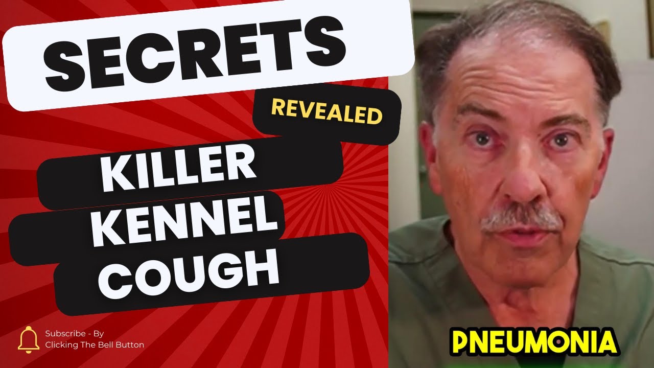 LIVE Mystery Dog Virus Spreads Killer Kennel Cough The Truth YouTube