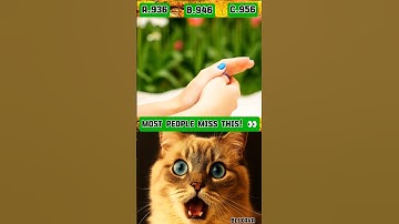 Most People Miss This! 👀 #shorts #cat #puzzle #bombastic