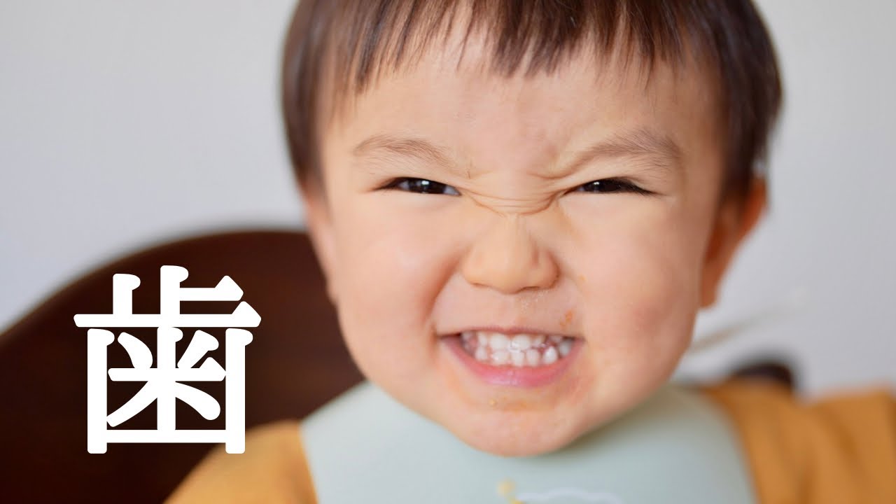 Toddler Food] I didn't know Shocking facts revealed at dental