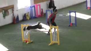 March 22, 2015   CKC-EO TRY OUT Jumpers 2
