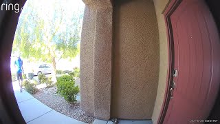 Video of man kicking cat at valley residence goes viral