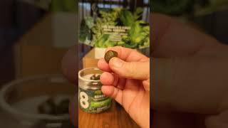 Delicious and Healthy Gummies Made From 8 Super Greens! Vegan! GF! #shorts
