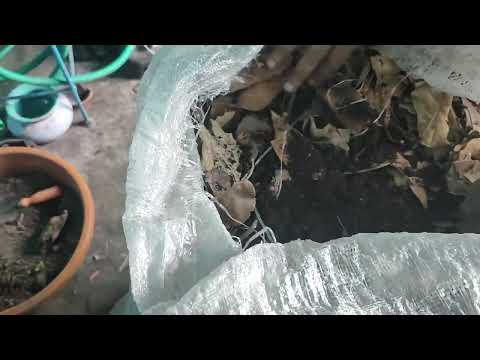 पत्तियों की खाद को किस तरीके से बनाएं जाता है?????.....