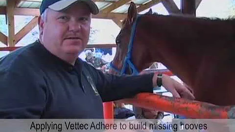 Horseshoe'n Time Show 174 Part 3.mov