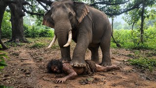 Chaos On The Road Elephant Attacks Fruit Van In Sri Lanka🐘🚴