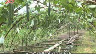 20100823-2《草根菩提》環保20專題(一)