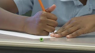 Palm Beach County lawmakers weigh-in on controversial Florida curriculum changes