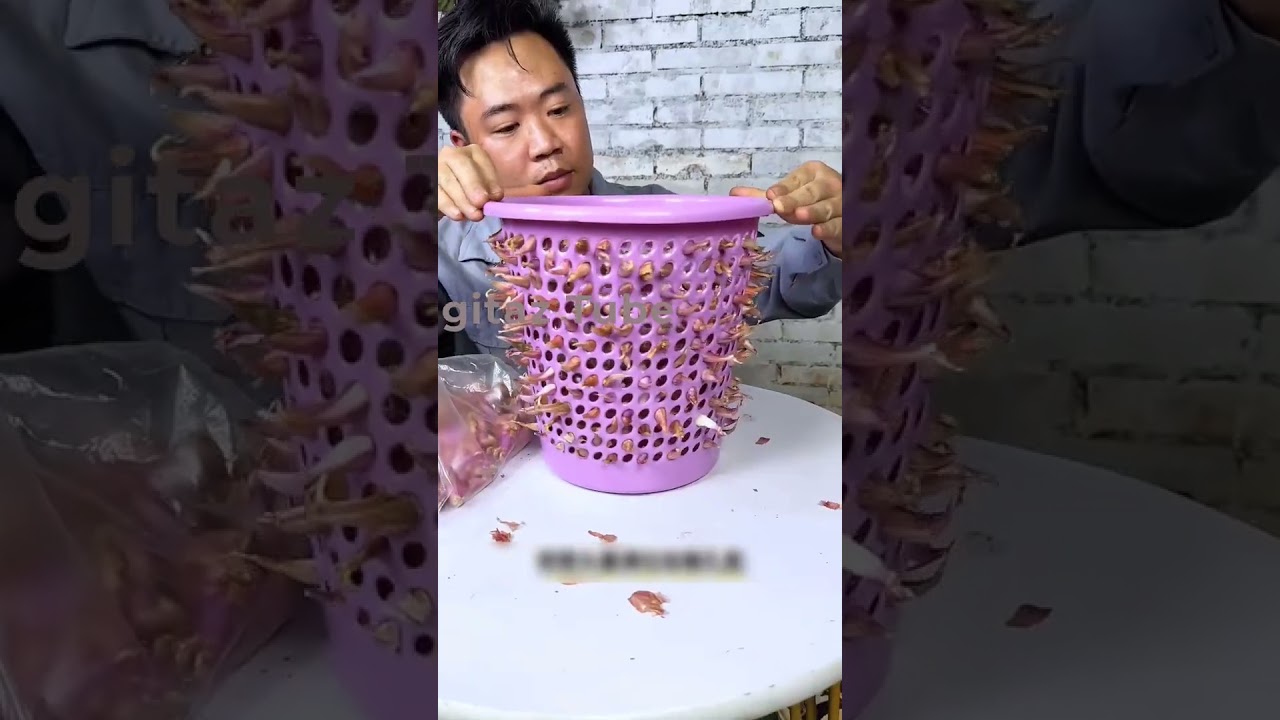 লাইফ স্টইলকে উন্নত করতে টিপসগুলো ফলো করুন"🙃